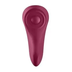 Satisfyer Sexy Secret Panty Vibrator Met App -Verzorging Verkoop Satisfyer Sexy Secret Panty Vibrator met App 6